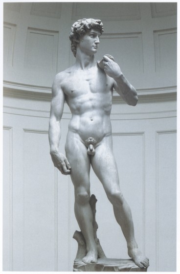 David, Michał Anioł (1501-1504)