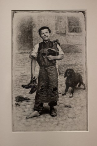 Szewczyk warszawski -tusz - 1884