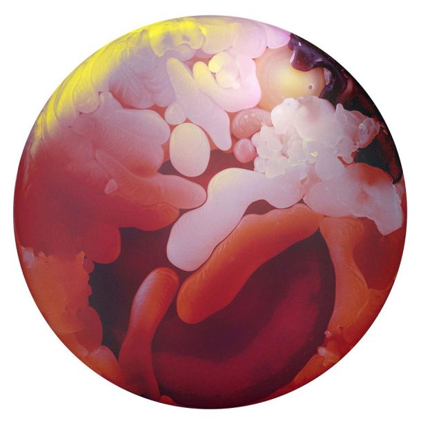 10942890_10206225528543364_1796401554_o