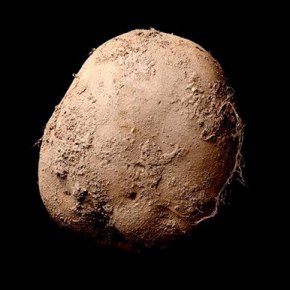 Zdjęcie ziemniaka za 1,56 mln&nbsp;$