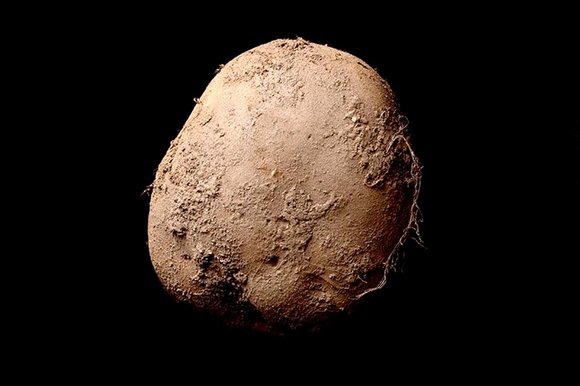 Potato #345